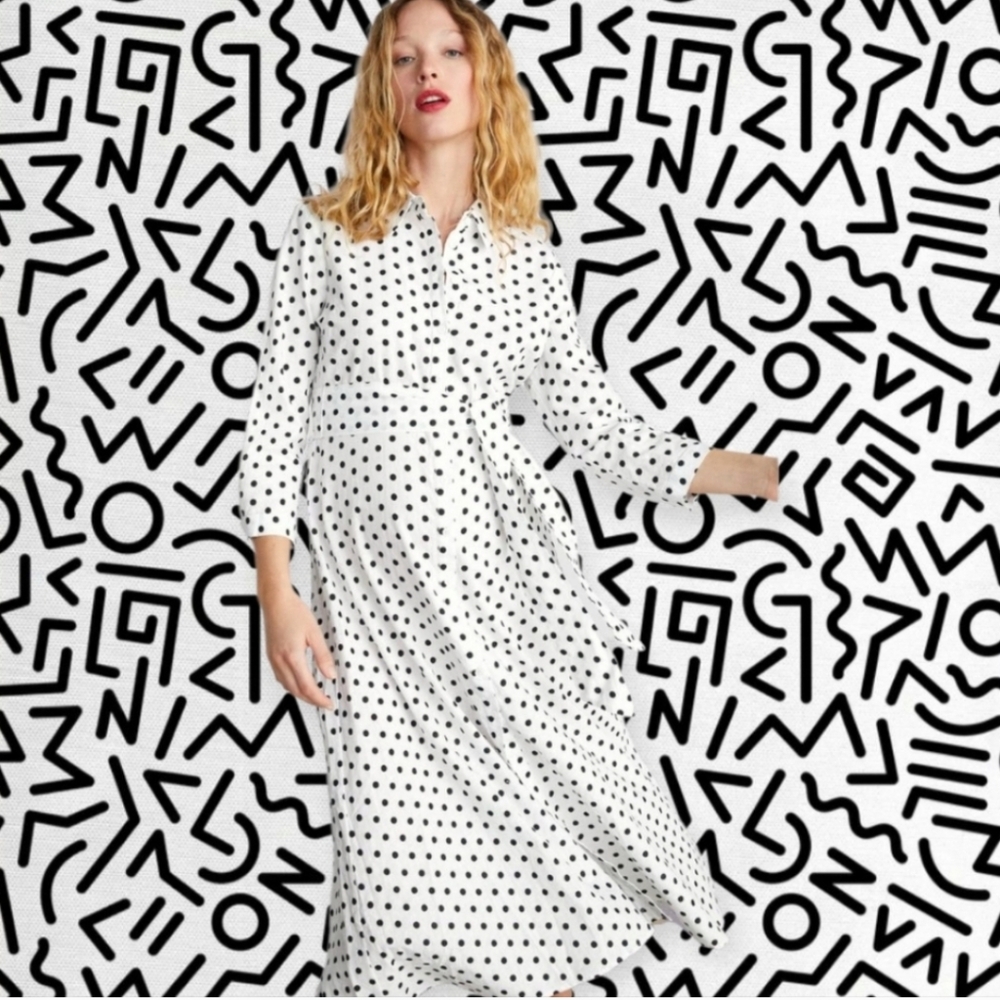 Zara Polka Dot Maxi Dress